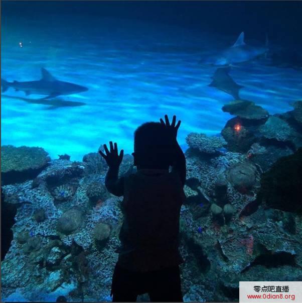 威少妻子晒出儿子诺阿看鲨鱼的照片