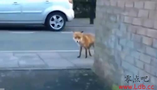 �ȴ����򳡴���������꣬����20ֻ����ɱ