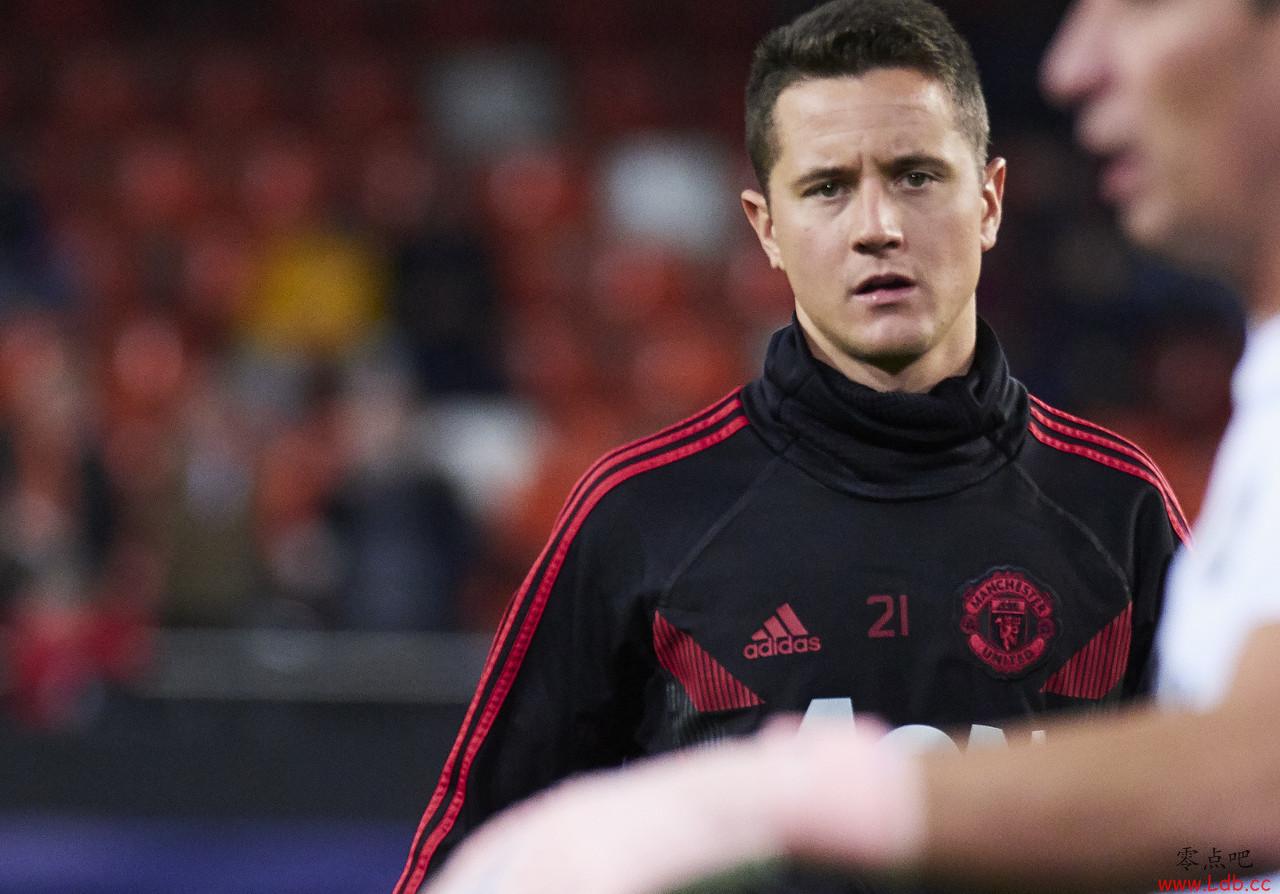 ����������������������Ա���£�����������Ч