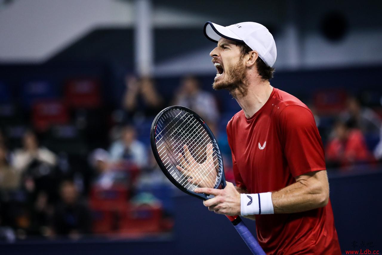 ��̳�������ף���ϣ����˧����ɭ�ɣ�����Ӣ��������Ȥ