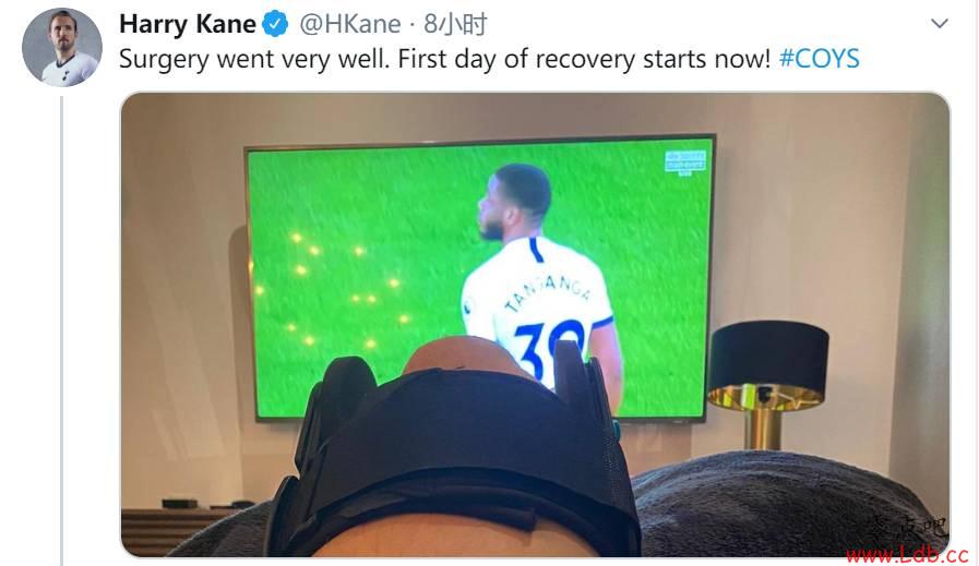 �����罻ý��ɹ�գ������ɹ�����ʼ�ָ���ͼ��