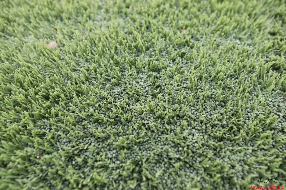 ³����УB6���ػ�FIFA����������֤��ͼ��